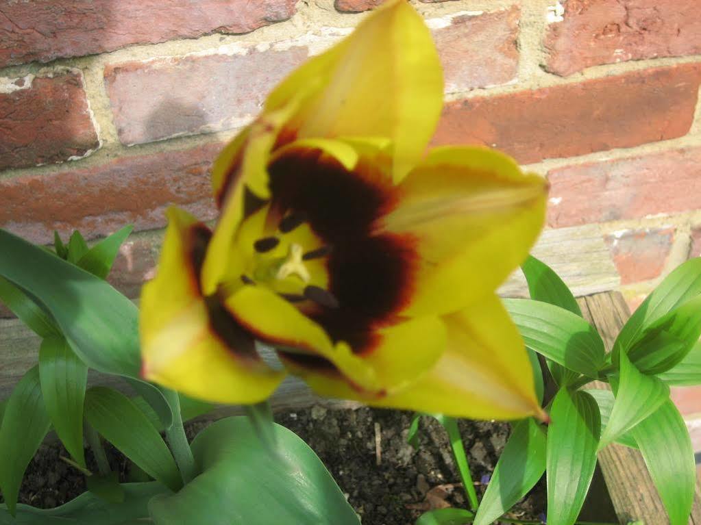 Bishopsdale Oast Bed & Breakfast Ashford  Bagian luar foto
